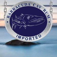 Website of Barracuda Cay